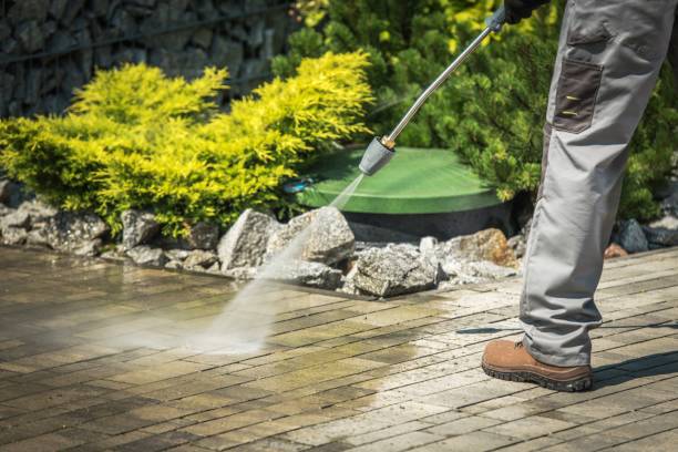 Best Sidewalk and Walkway Cleaning  in Solomon, KS