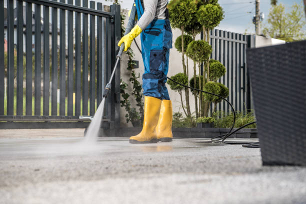 Best Solar Panel Cleaning  in Solomon, KS